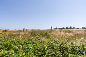 Photo 28- click for photo gallery